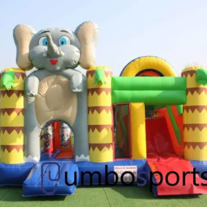 Commercial Indoor Bouncy Castle