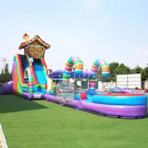 Commercial Wet Or Dry Adult Waterslide